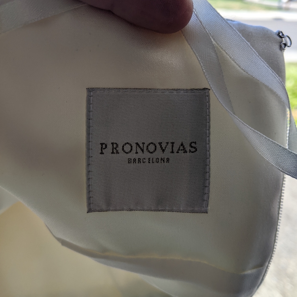 Pronovias Albeniz Tirso Wedding dress - Picture 4 of 15